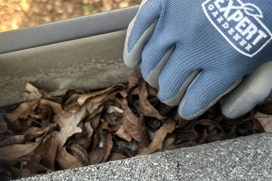 Gutter Cleaning Forestdale