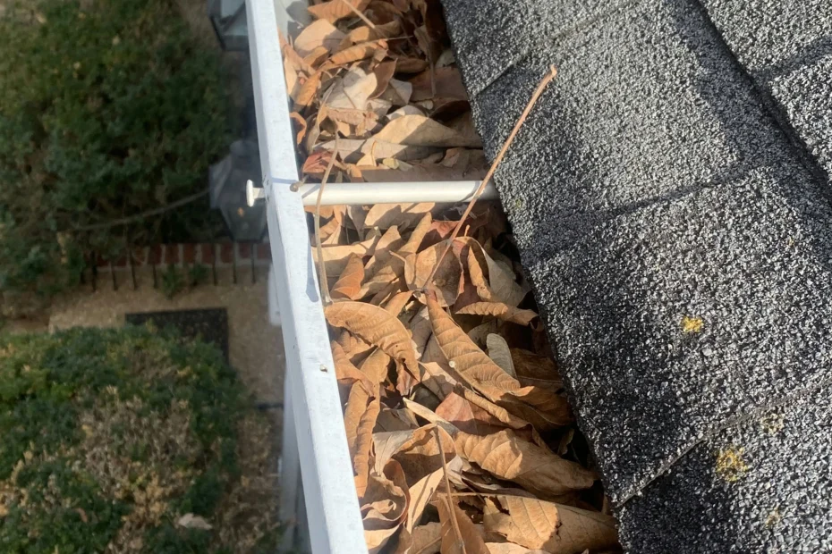 Gutter Cleaning Forestdale