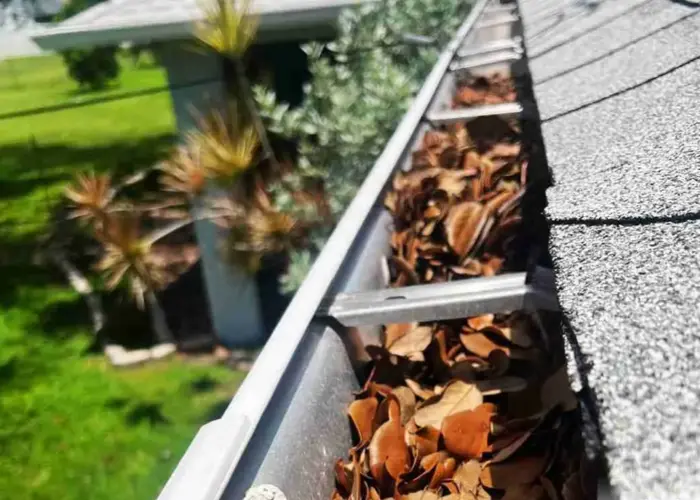 Gutter Cleaning Forestdale home page